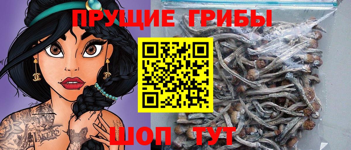 Псилоцибиновые грибы прущие грибы  Вход с VPN  Галлюциногенные грибы GOLDEN TEACHER  Приморско-Ахтарск 