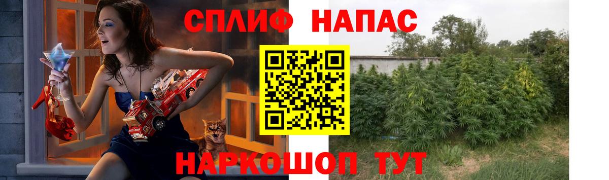 Конопля конопля  Конопля семена  Приморско-Ахтарск  Вход с VPN  Шишки марихуана конопля 
